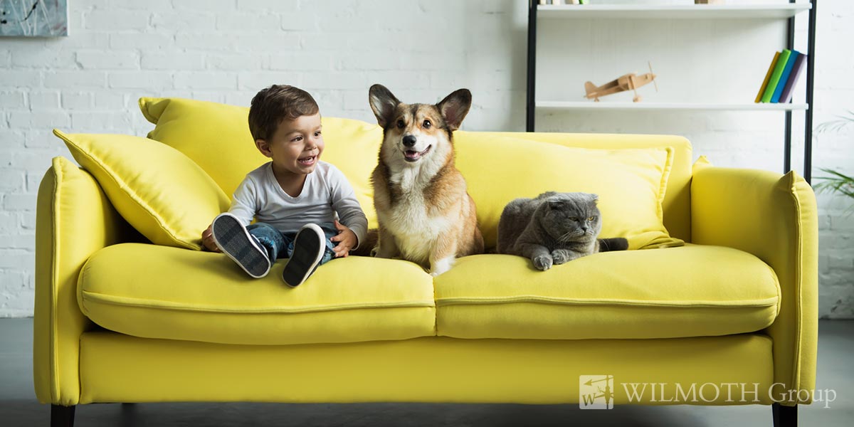PetScreening.com Pet Policies and Amenities Survey